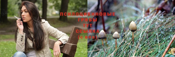МДПВ Абинск