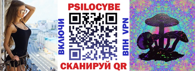 Псилоцибиновые грибы мицелий Новая Усмань
